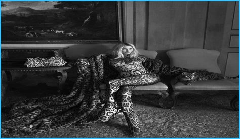 Unveiling The Kim Dolce Campaign: A Journey Of Beauty And Empowerment